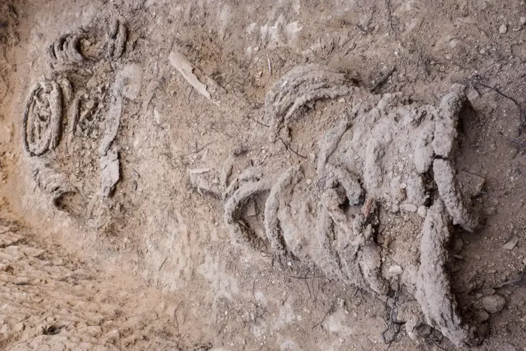 Remains of an iron-chained Byzantine Monk discovered in Israel, Byzantine Archaeology