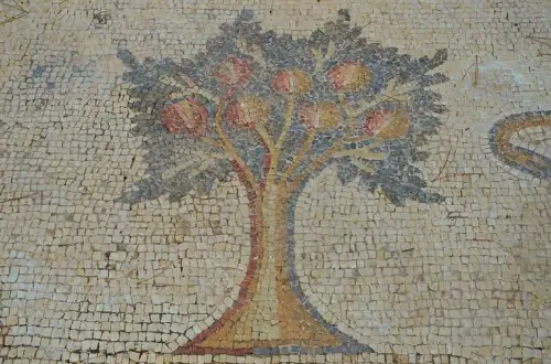 Atrium of a palace complex outside the city of Caesarea in Israel, 6th Century mosaic depicting a pomegranate tree